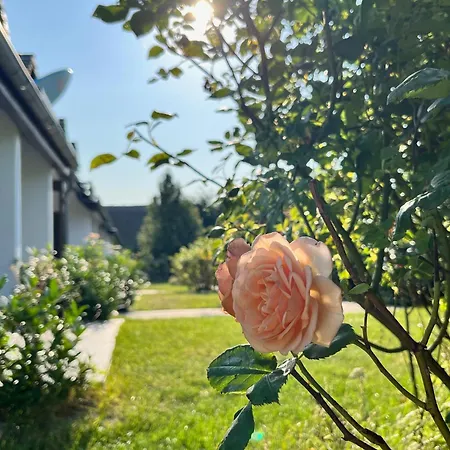 Rosenhof Am Plauer Garni Mit E-lade Saeule Hotel *