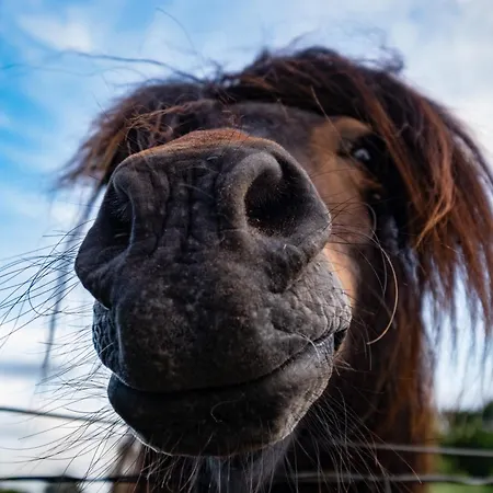 Rosenhof Am Plauer Garni Mit E-lade Saeule